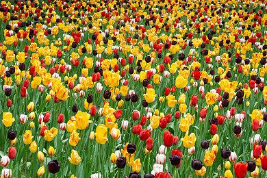 《PIGROMANCE》登陆Steam 横版动作解谜